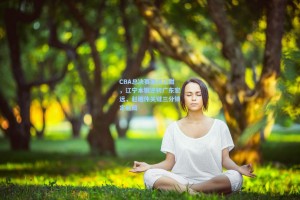 CBA总决赛激战正酣，辽宁本钢逆转广东宏远，赵继伟关键三分锁定胜局