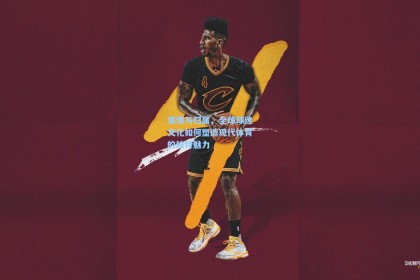 激情与归属，全球球迷文化如何塑造现代体育的独特魅力